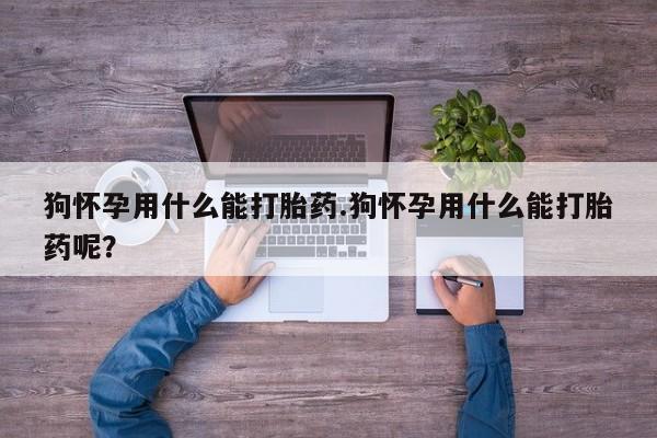 打胎药正品微信联系方式狗怀孕用什么能打胎药.狗怀孕用什么能打胎药呢？