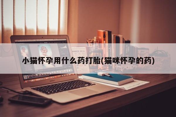 打胎药正品微信联系方式小猫怀孕用什么药打胎(猫咪怀孕的药)