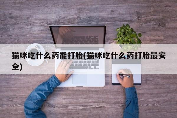 打胎药正品微信联系方式猫咪吃什么药能打胎(猫咪吃什么药打胎最安全)