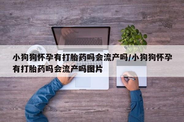 打胎药正品微信联系方式资讯 第17页